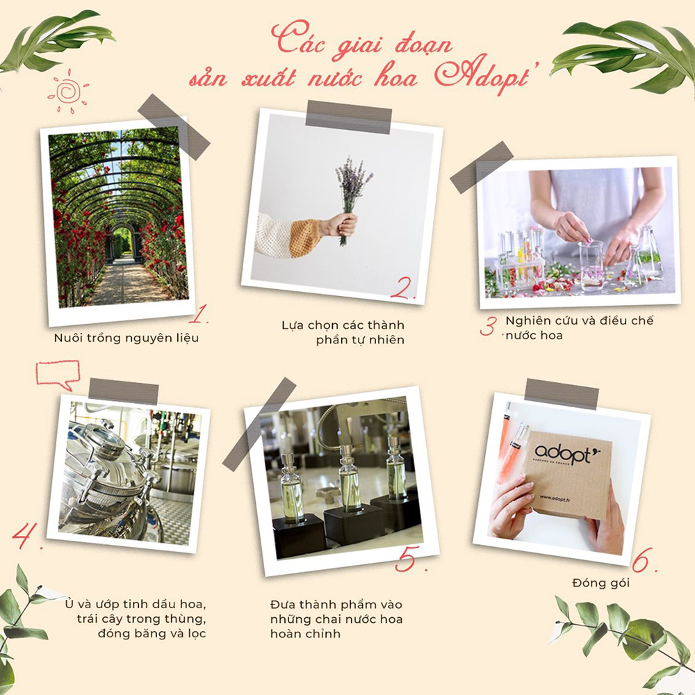 Nước Hoa Nữ Fleur De Gingembre Adopt Hương Gừng